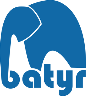 batyr logo.png